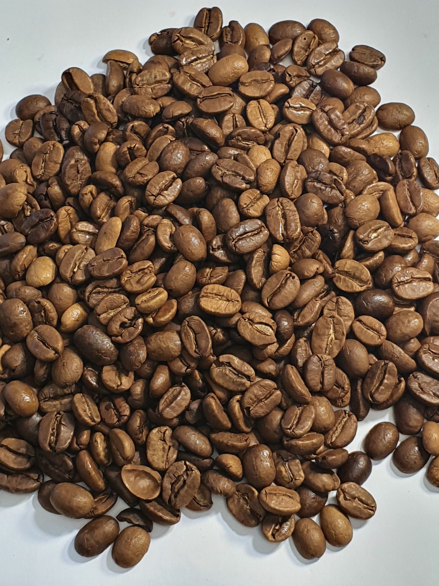 Indien Arabica Kaffeebohnen