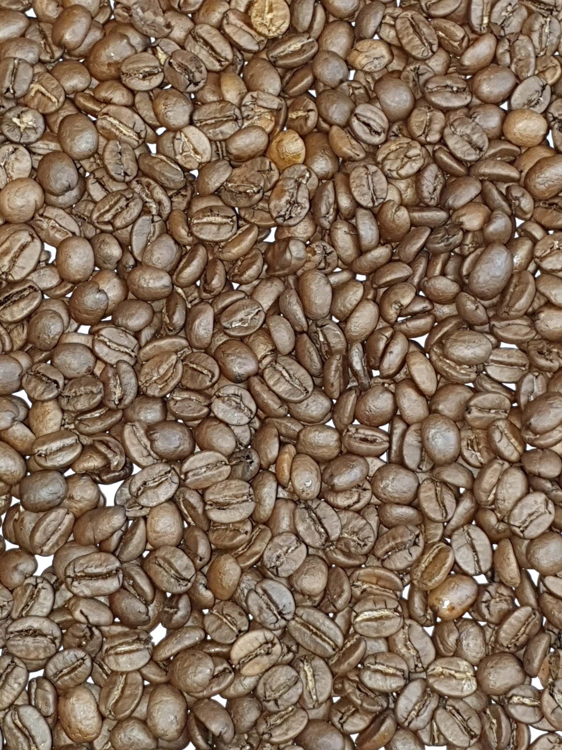 Brasilien, Arabica Kaffeebohnen