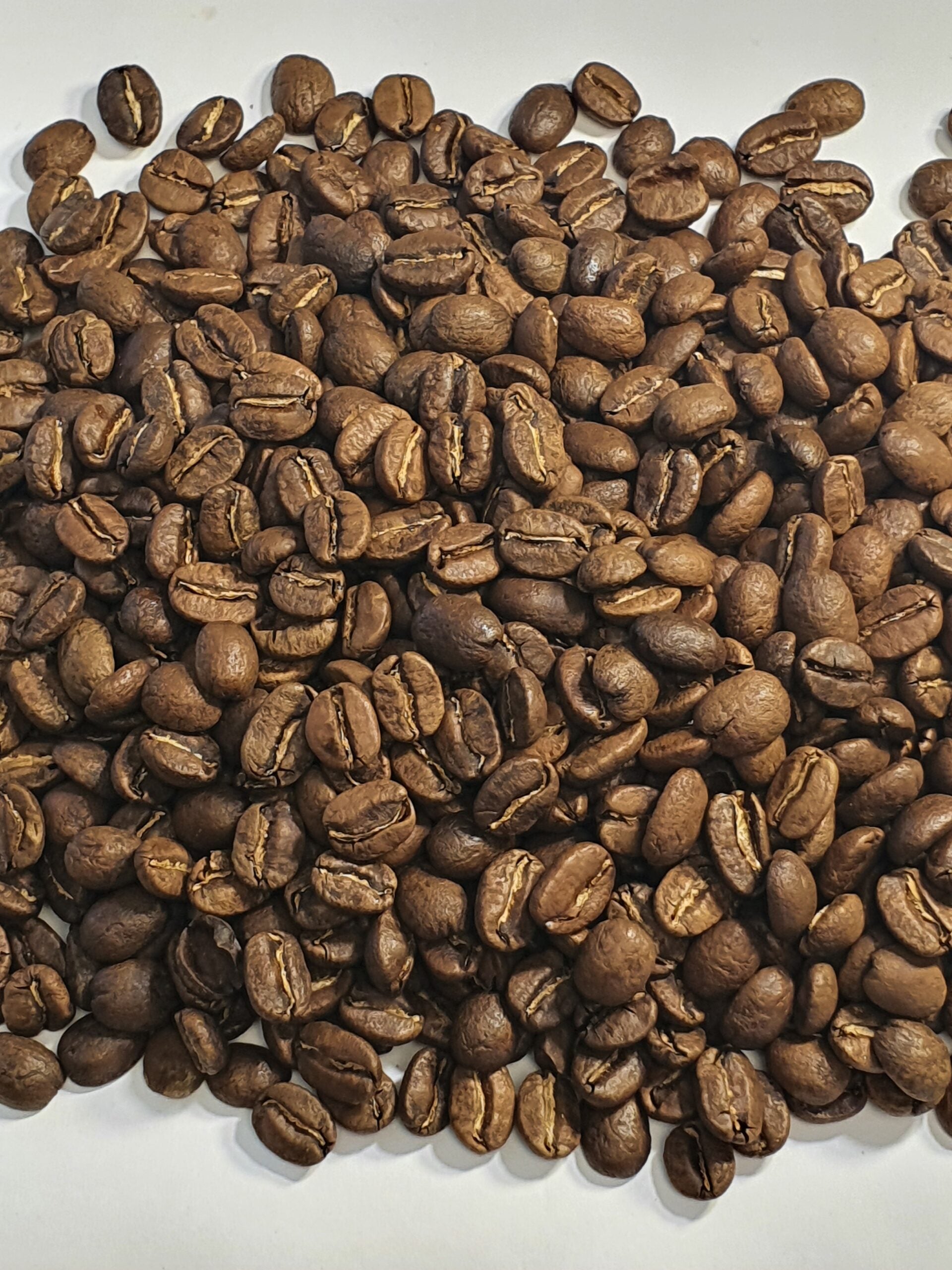 Arabica Kaffebohne, Kolumbien