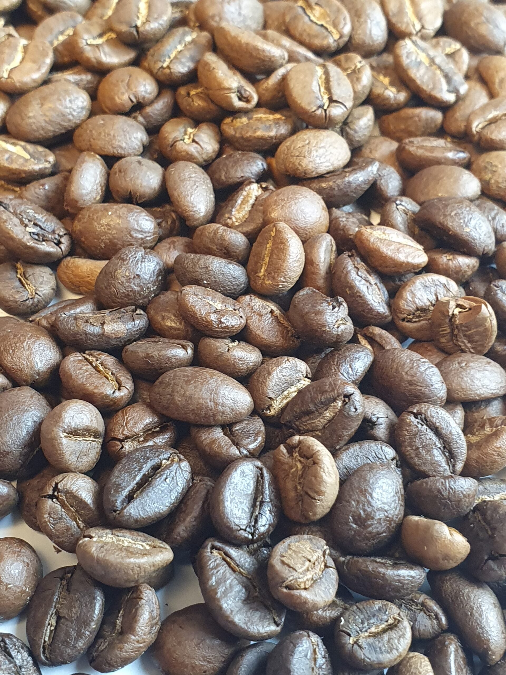 Bohne, Lilienthalespresso