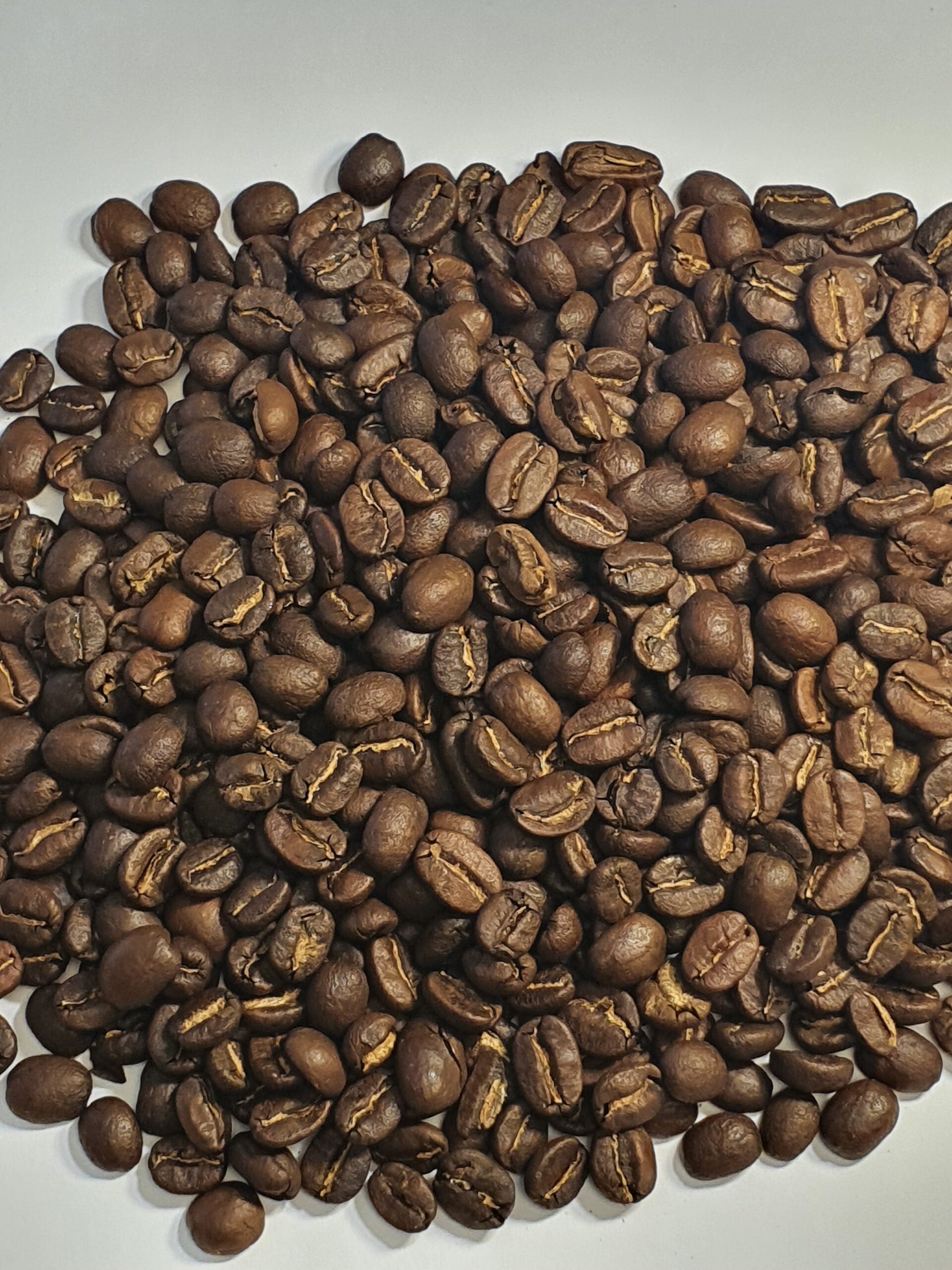 Bohnen, Arabicakaffee, Guatemala